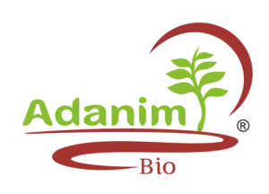 Adanim Tea